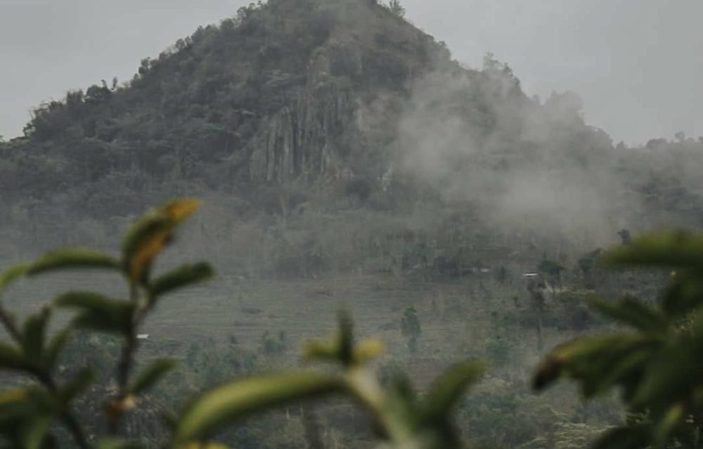 6071088529946643709 6071088529946643709